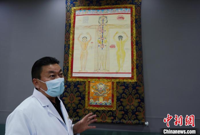 圖為興?？h藏醫(yī)院院長介紹藏醫(yī)四部醫(yī)典詳實圖。　馬銘言 攝