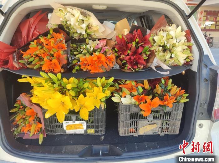剛剛采摘下來(lái)的百合花?！∪捞量h委宣傳部供圖