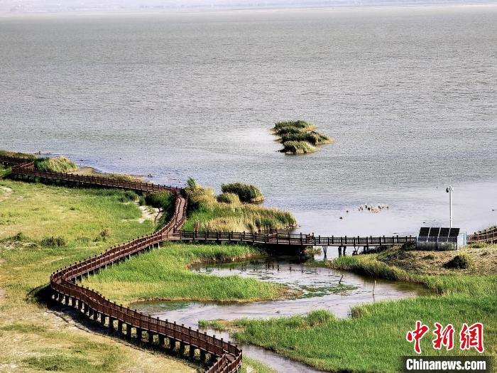 圖為都蘭湖國家濕地公園觀光棧道?！∑钤鲚?攝