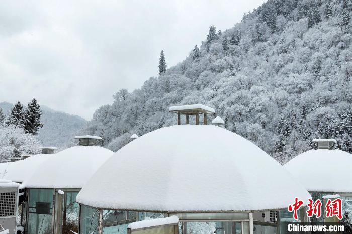 大熊貓國家公園王朗片區(qū)春雪如畫，宛若仙境。　羅春平 攝