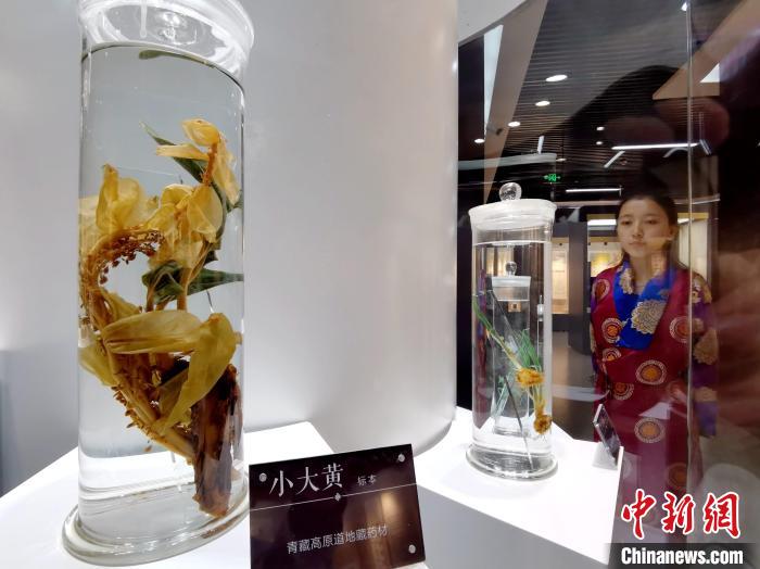 青海中藏醫(yī)藥發(fā)展提速：建設(shè)一批重點(diǎn)?？茖W(xué)科，推廣一批適宜技術(shù)
