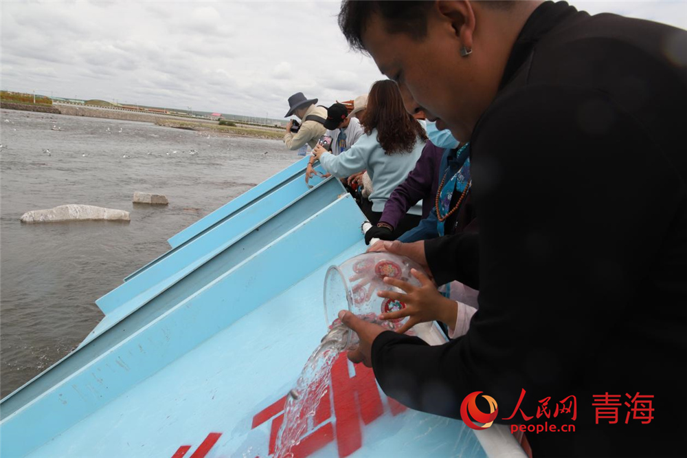 群眾放流青海湖裸鯉。人民網(wǎng) 陳明菊攝