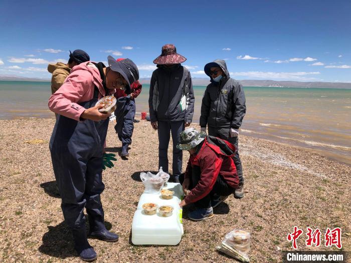 科考隊員在高原湖泊岸邊進餐。　<a target='_blank' ><p  align=