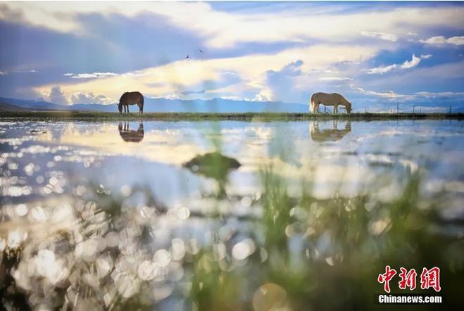 資料圖：那曲市申扎縣境內(nèi)的濕地。李雪峰 攝