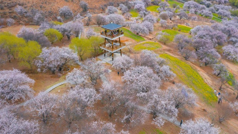 林芝嘎拉村。 張靜攝
