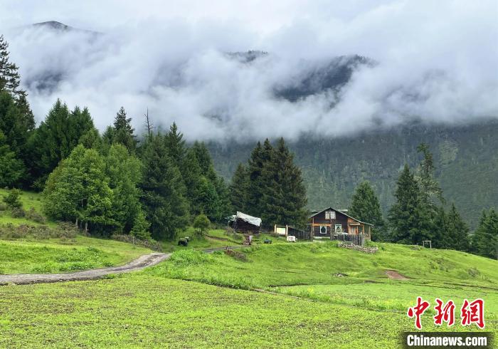 6月10日，魯朗小鎮(zhèn)高山牧場景區(qū)風(fēng)光?！∪轿木?攝