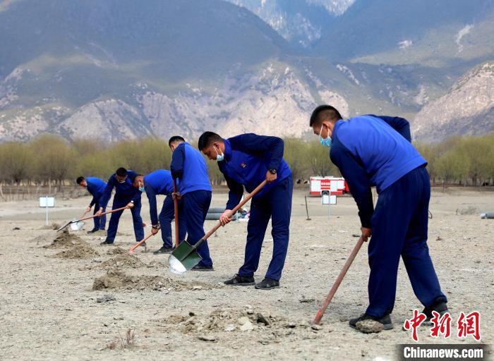 林芝市巴宜區(qū)森林消防中隊志愿服務隊正在揮鍬鏟土。　西繞拉翁 攝