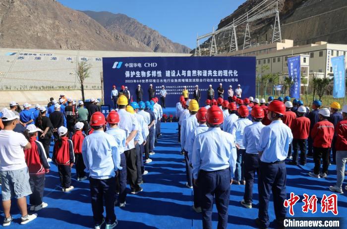 圖為蘇洼龍水電站魚類放流現(xiàn)場?！√K洼龍水電站供圖