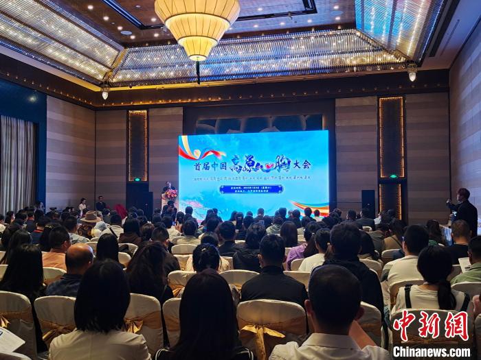 圖為首屆中國高原心胸大會現(xiàn)場?！☆D旦旺姆 攝