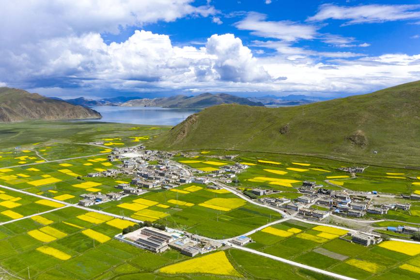 航拍道布龍村，依山傍水，阡陌縱橫。
