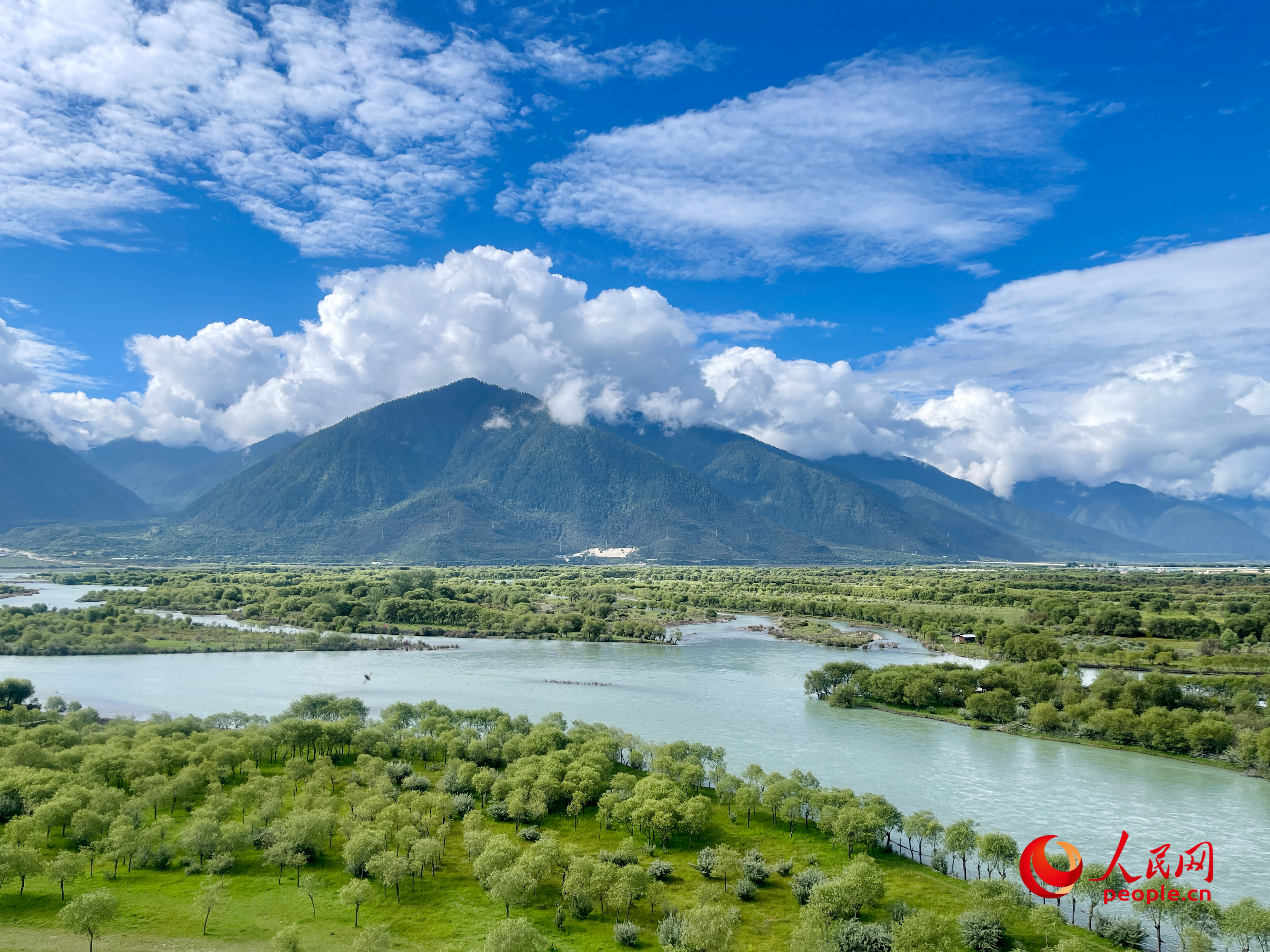 夏日的雅尼國(guó)家濕地公園生機(jī)盎然，如詩如畫。人民網(wǎng) 周靜圓攝