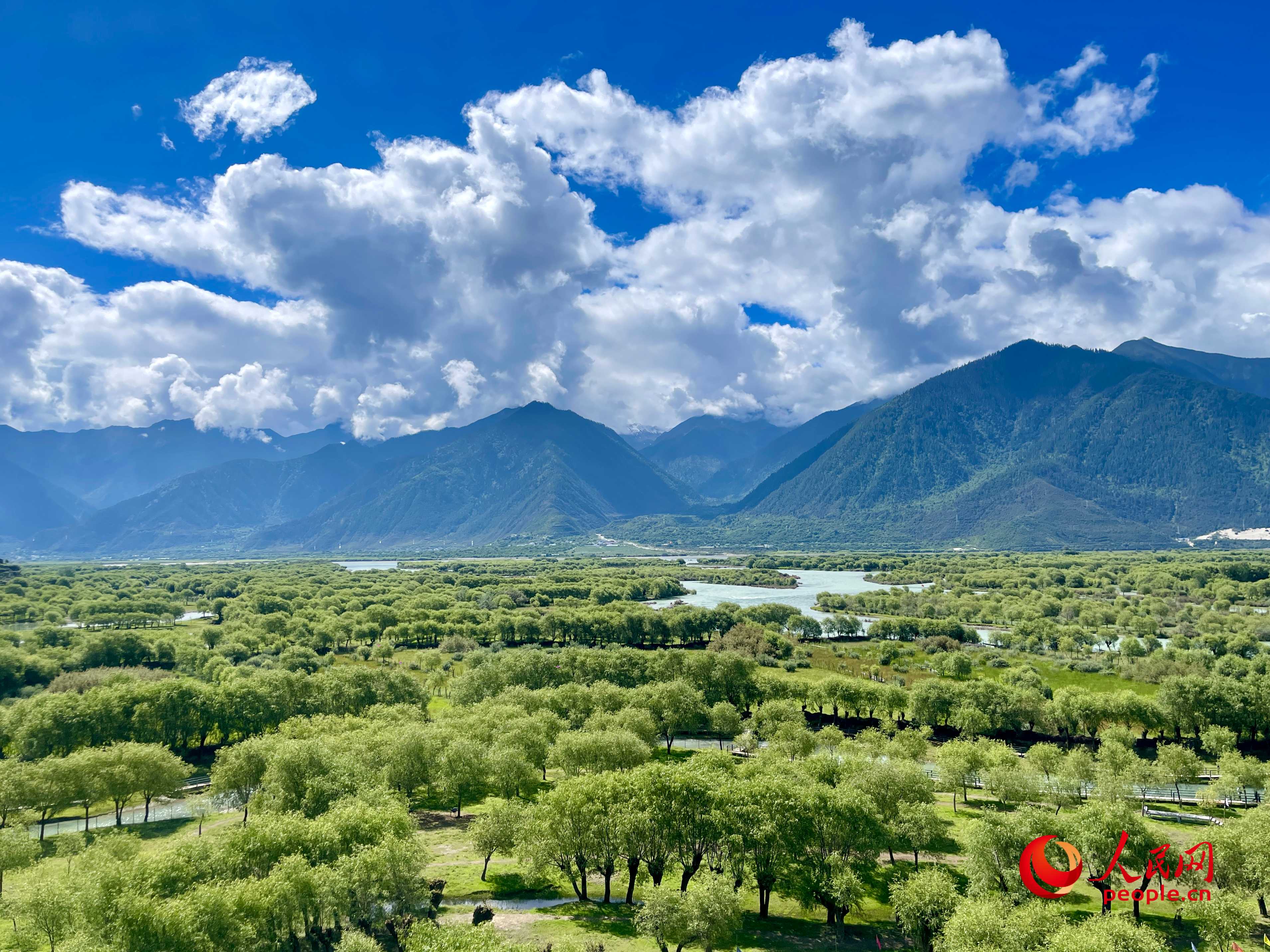 夏日的雅尼國(guó)家濕地公園生機(jī)盎然，如詩如畫。人民網(wǎng) 周靜圓攝