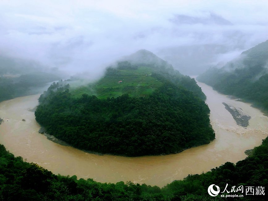 雅魯藏布江大峽谷蛇形拐彎處，山坡上種滿茶樹。
