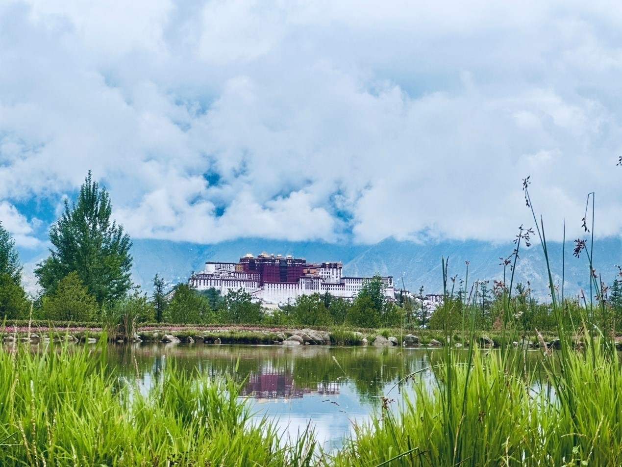 在南山公園遠(yuǎn)眺布達拉宮。人民網(wǎng)記者 益西康珠攝