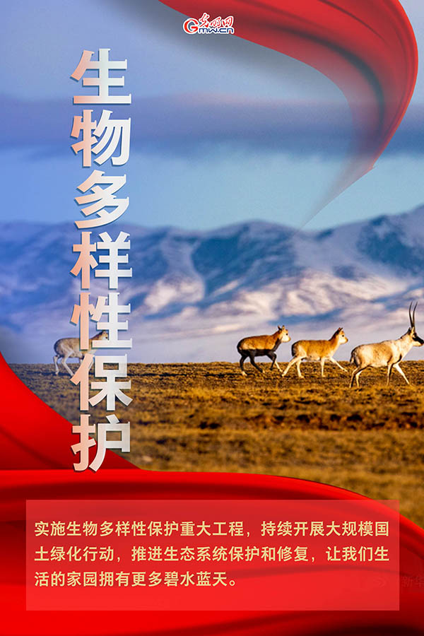 海報| 2021年政府工作報告，提到這些生態(tài)環(huán)保關鍵詞